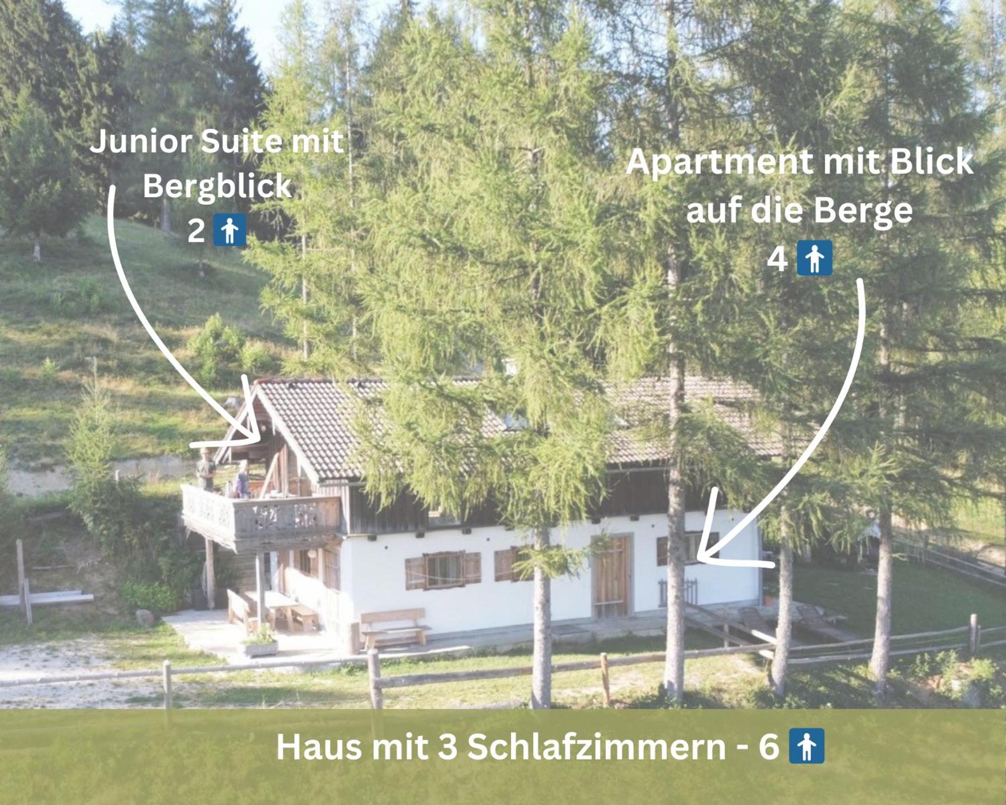Ferienwohnung Kreitalm Neukirchen  Exterior foto